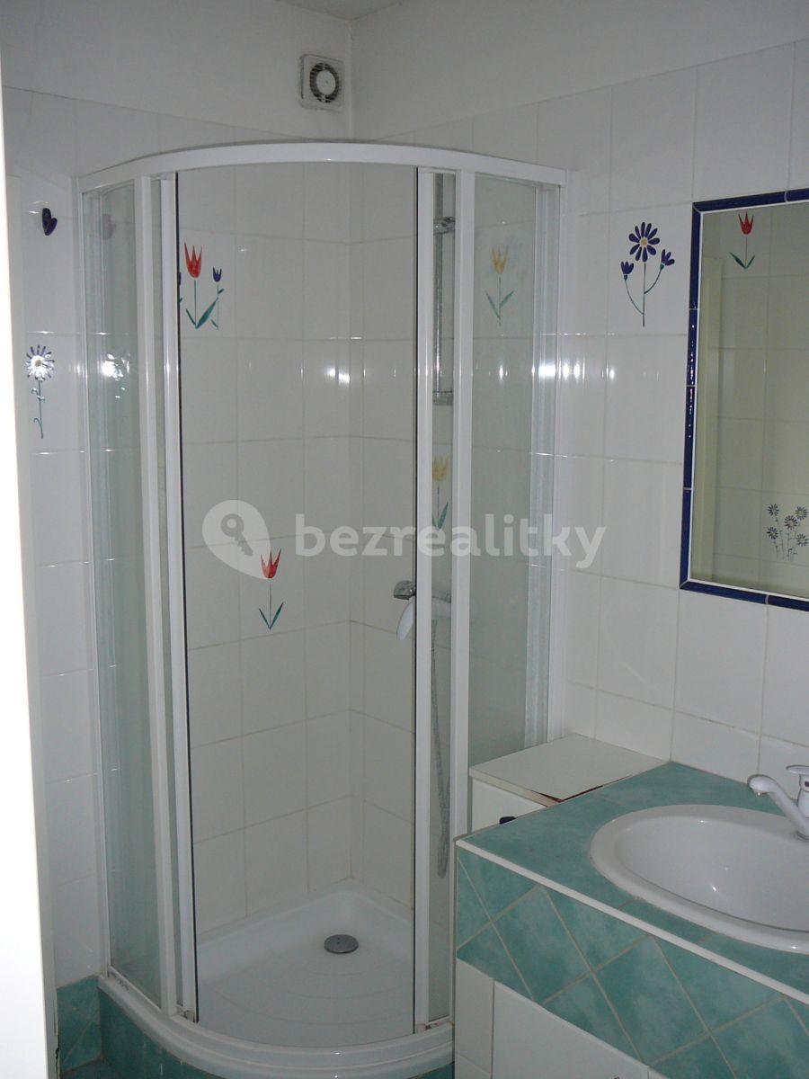 2 bedroom with open-plan kitchen flat to rent, 65 m², Svatoplukova, Brno, Jihomoravský Region