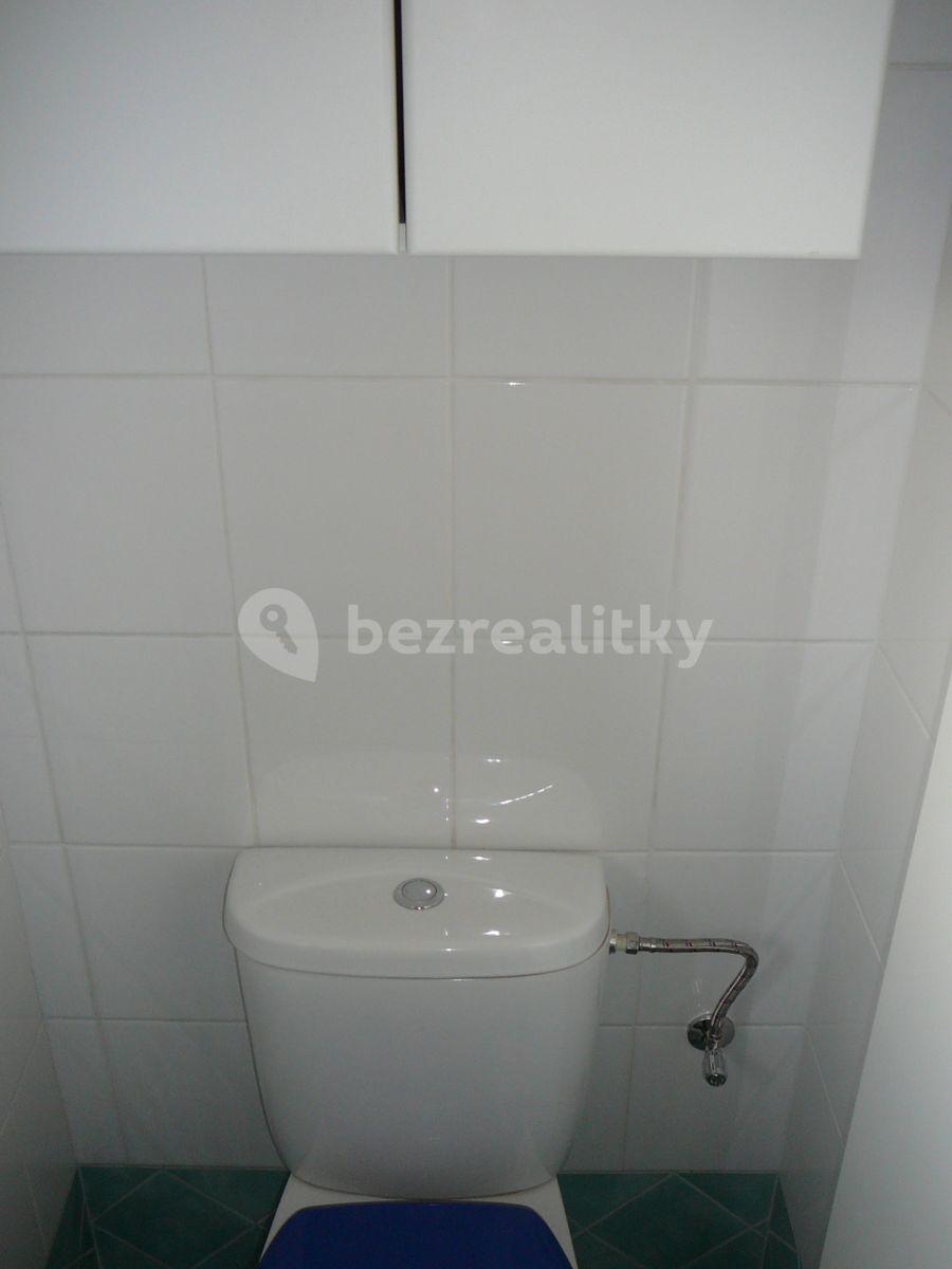 2 bedroom with open-plan kitchen flat to rent, 65 m², Svatoplukova, Brno, Jihomoravský Region