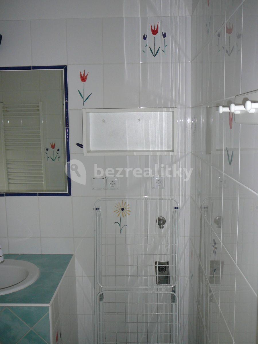 2 bedroom with open-plan kitchen flat to rent, 65 m², Svatoplukova, Brno, Jihomoravský Region