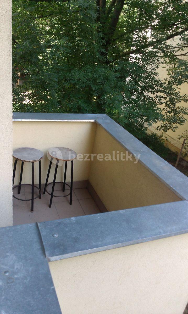 1 bedroom with open-plan kitchen flat to rent, 45 m², Renneská třída, Brno, Jihomoravský Region