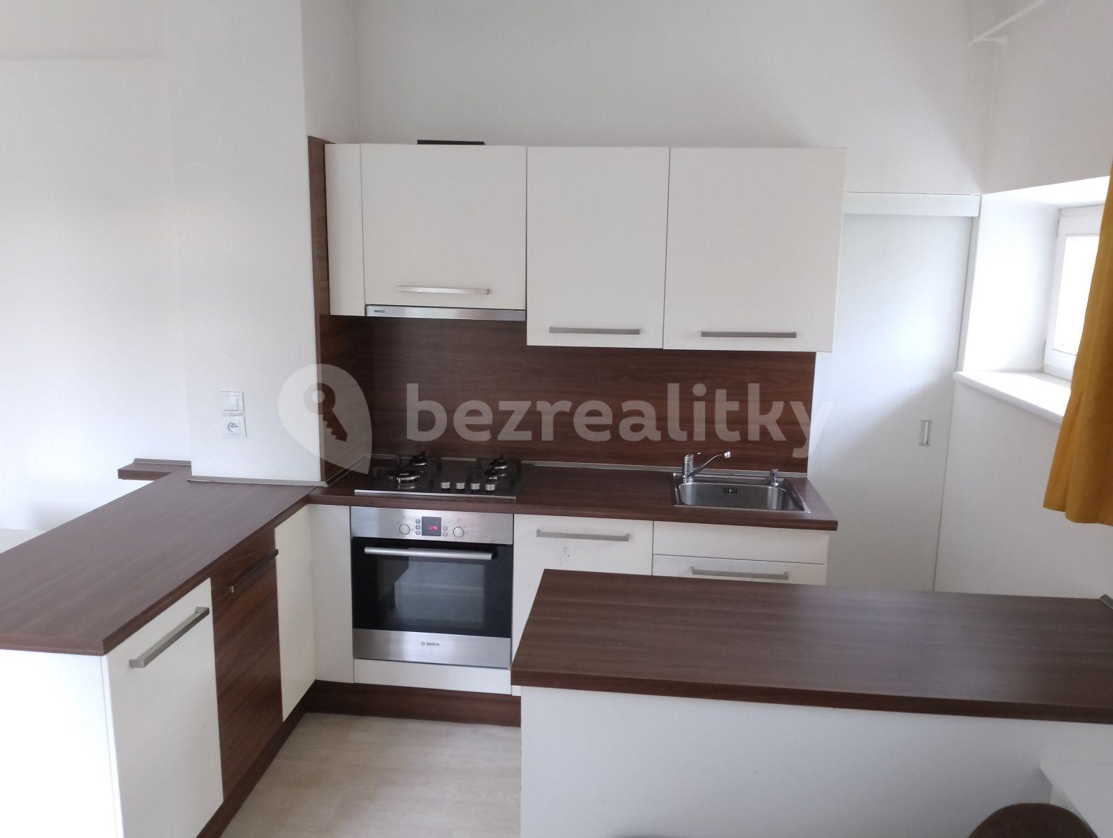 1 bedroom with open-plan kitchen flat to rent, 45 m², Renneská třída, Brno, Jihomoravský Region