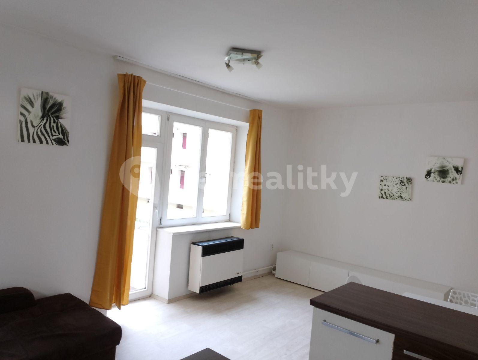 1 bedroom with open-plan kitchen flat to rent, 45 m², Renneská třída, Brno, Jihomoravský Region