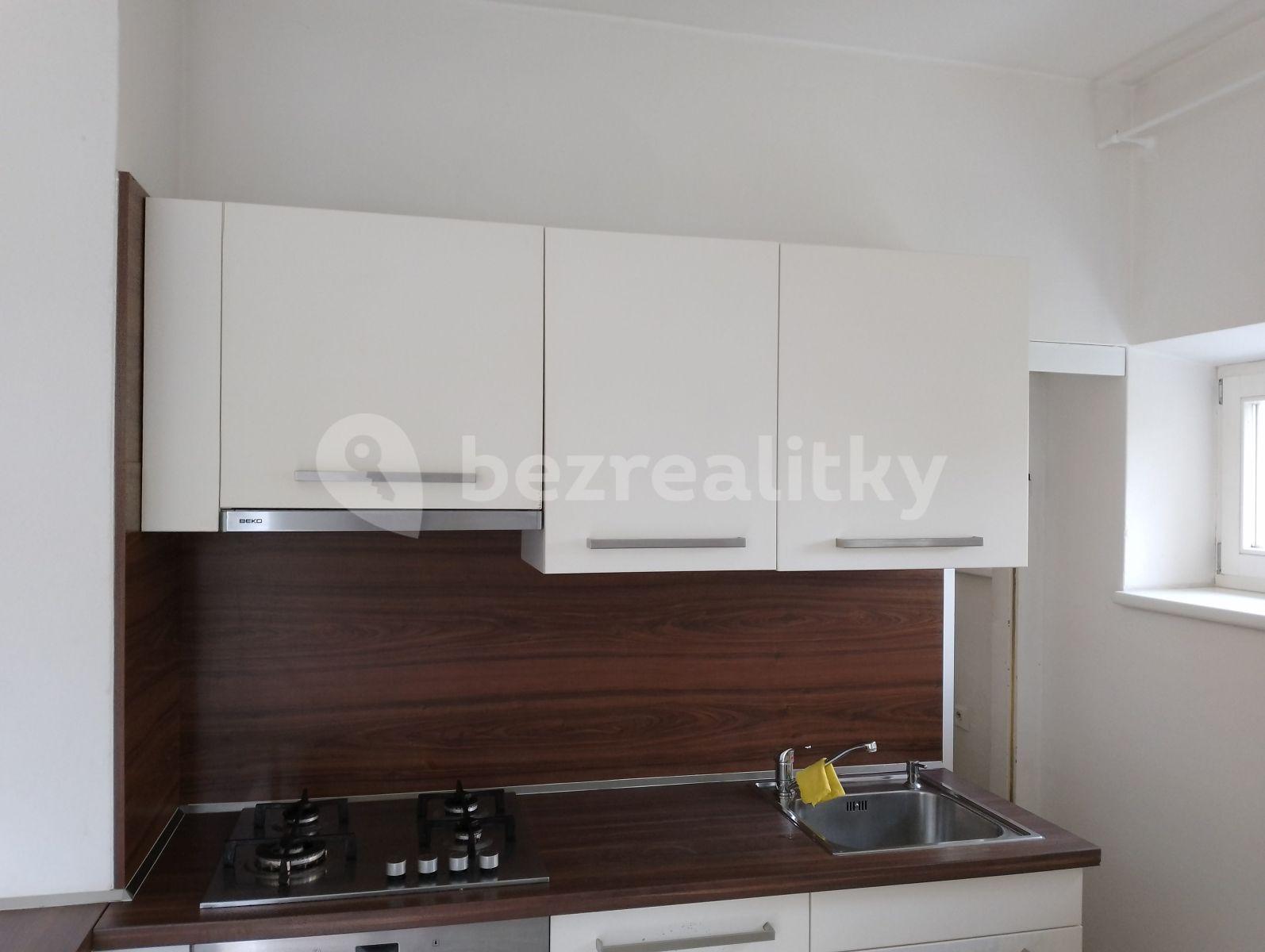 1 bedroom with open-plan kitchen flat to rent, 45 m², Renneská třída, Brno, Jihomoravský Region