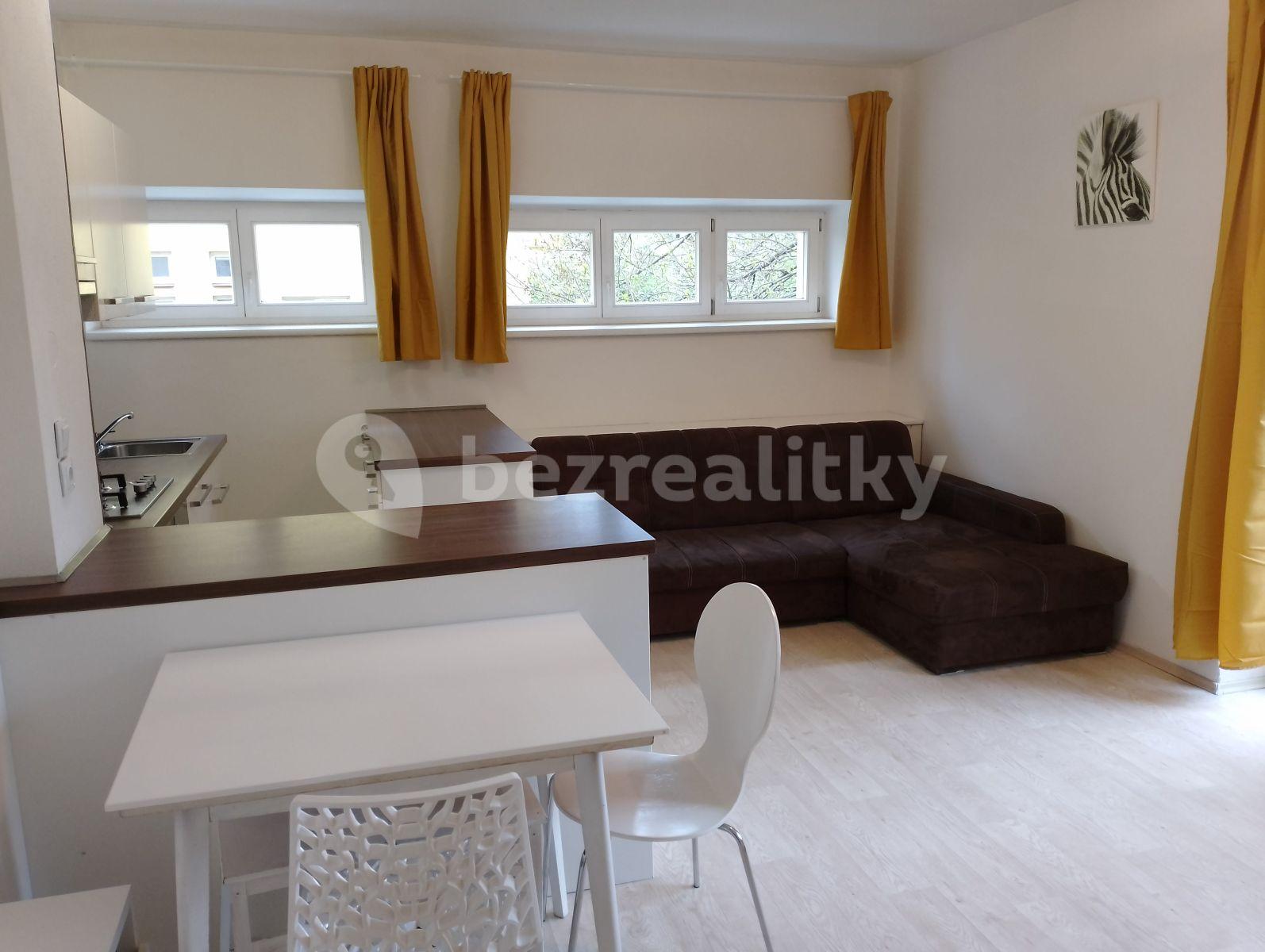 1 bedroom with open-plan kitchen flat to rent, 45 m², Renneská třída, Brno, Jihomoravský Region