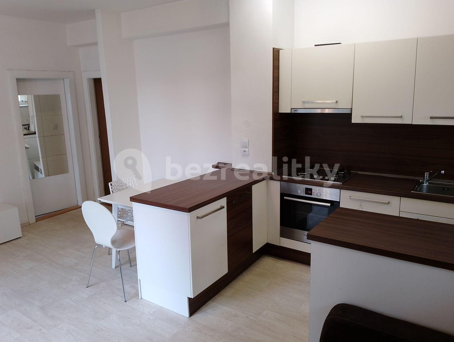 1 bedroom with open-plan kitchen flat to rent, 45 m², Renneská třída, Brno, Jihomoravský Region