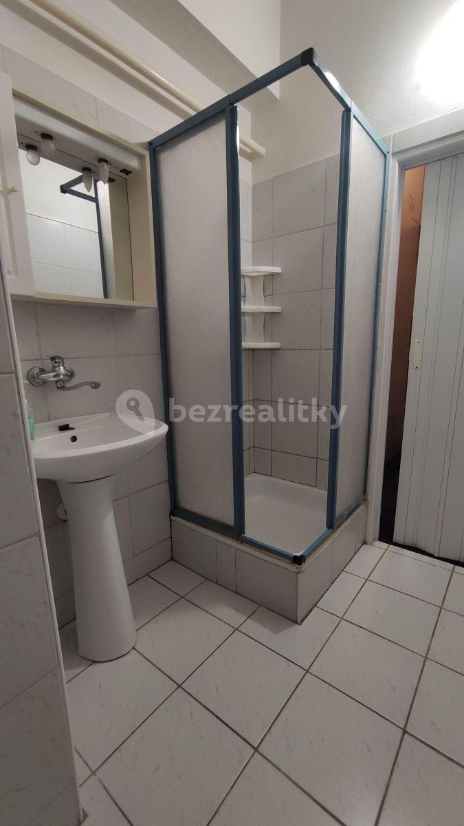 1 bedroom with open-plan kitchen flat to rent, 45 m², Renneská třída, Brno, Jihomoravský Region