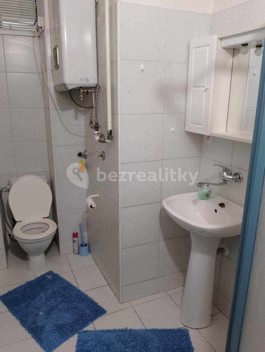 1 bedroom with open-plan kitchen flat to rent, 45 m², Renneská třída, Brno, Jihomoravský Region