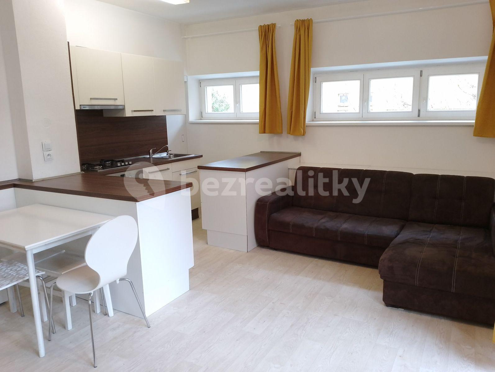 1 bedroom with open-plan kitchen flat to rent, 45 m², Renneská třída, Brno, Jihomoravský Region