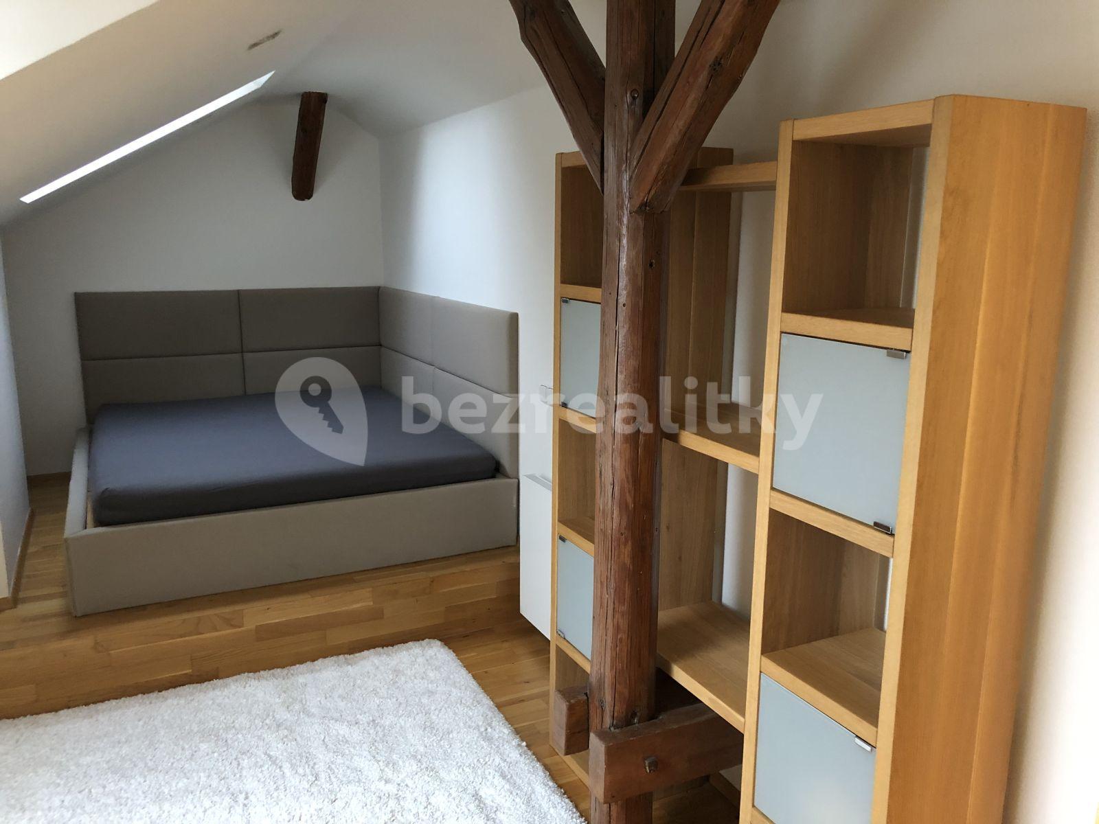 1 bedroom with open-plan kitchen flat to rent, 80 m², Na žertvách, Prague, Prague