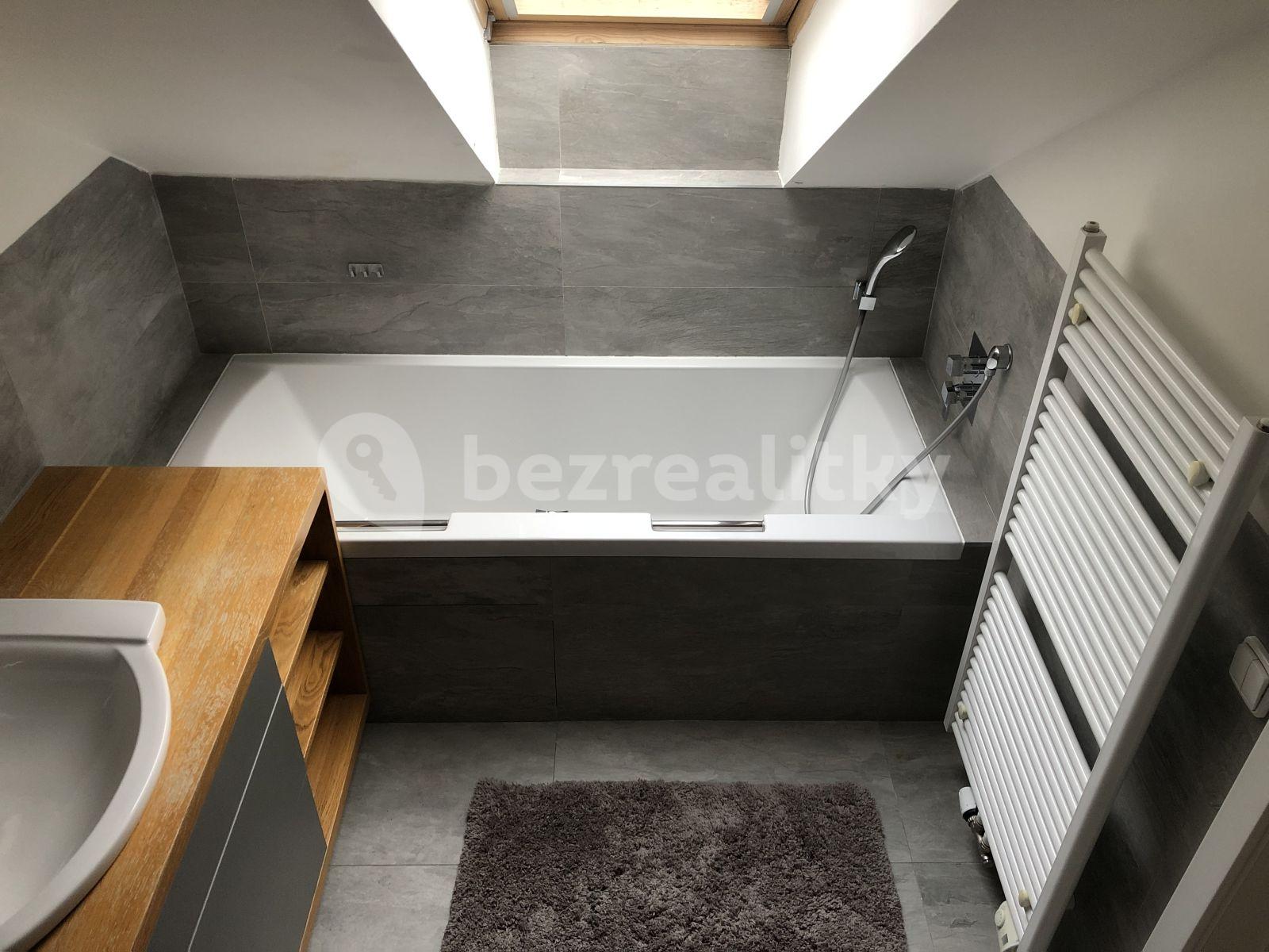 1 bedroom with open-plan kitchen flat to rent, 80 m², Na žertvách, Prague, Prague