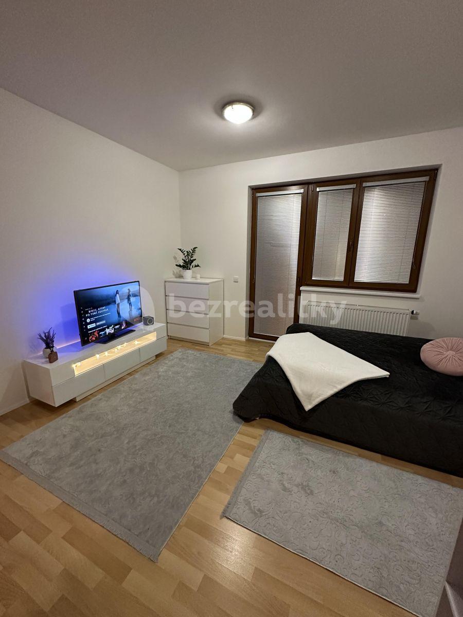 Studio flat to rent, 32 m², Zemské právo, Prague, Prague