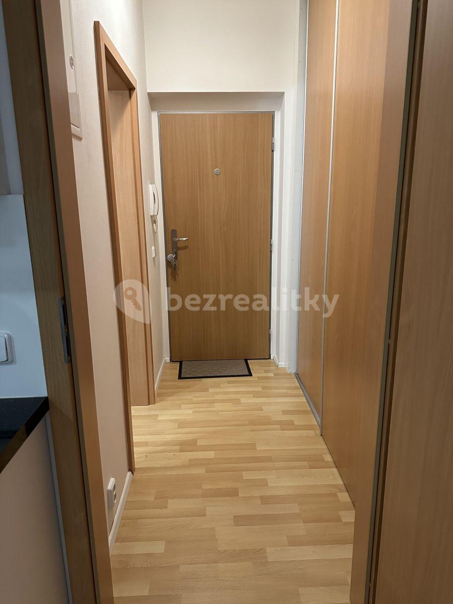 Studio flat to rent, 32 m², Zemské právo, Prague, Prague