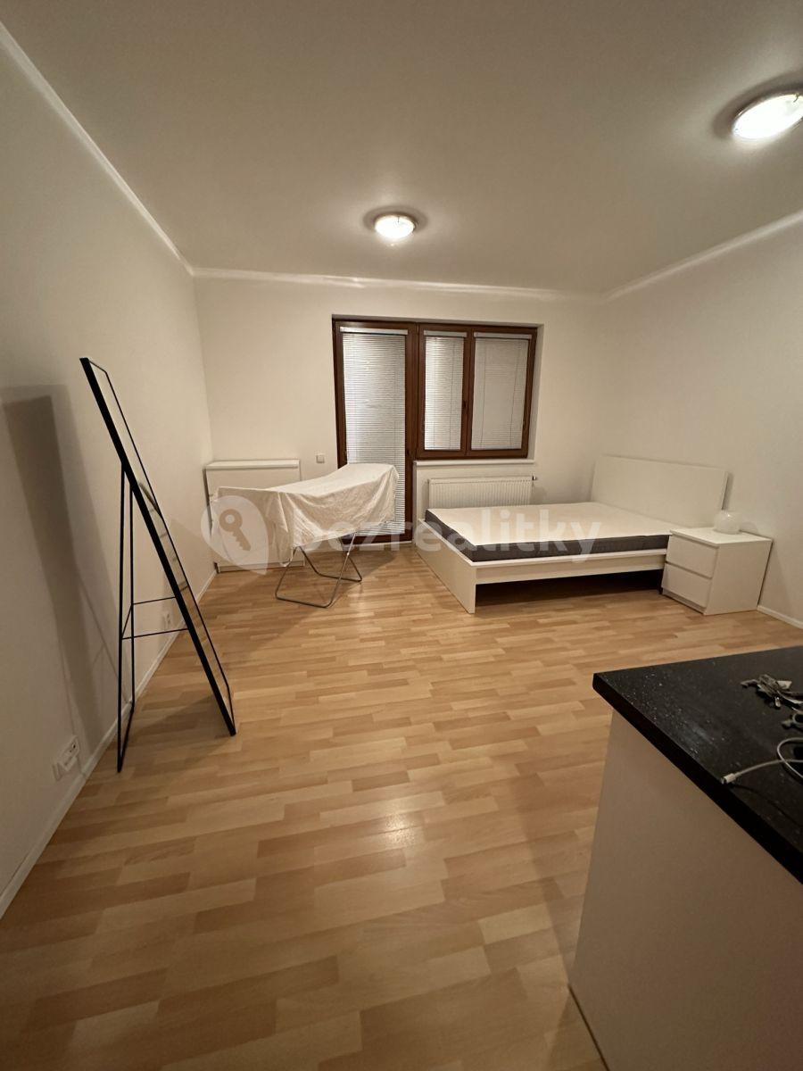 Studio flat to rent, 32 m², Zemské právo, Prague, Prague