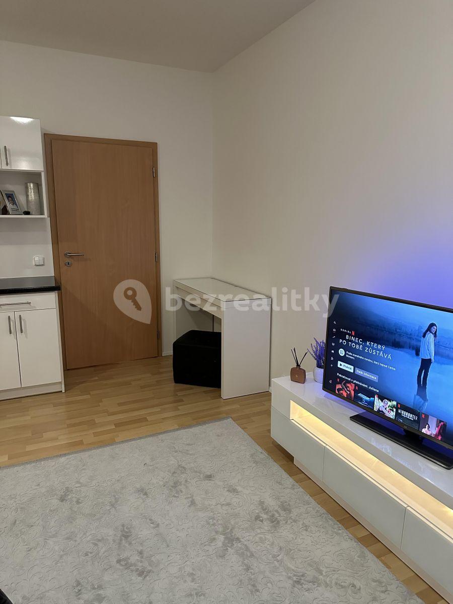 Studio flat to rent, 32 m², Zemské právo, Prague, Prague