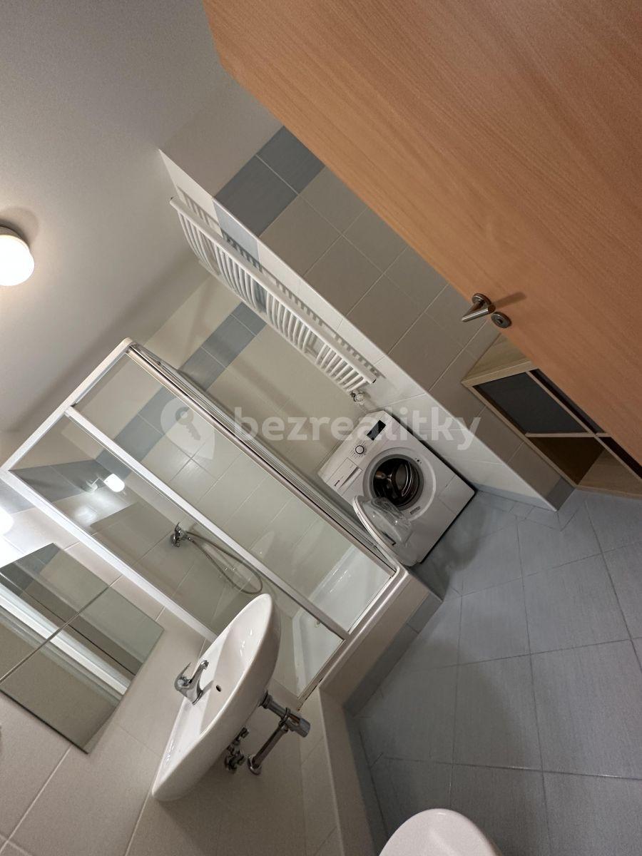 Studio flat to rent, 32 m², Zemské právo, Prague, Prague