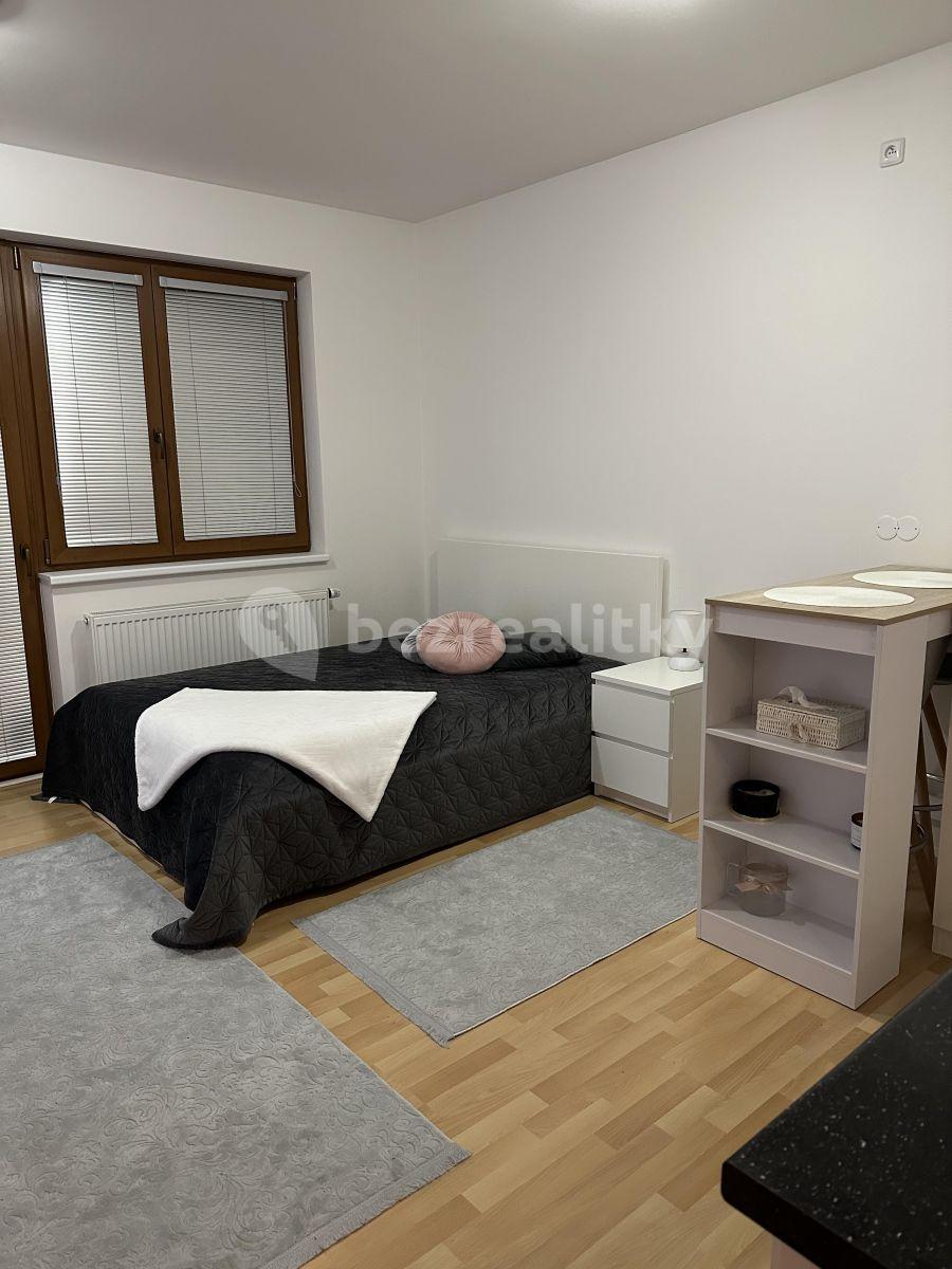 Studio flat to rent, 32 m², Zemské právo, Prague, Prague