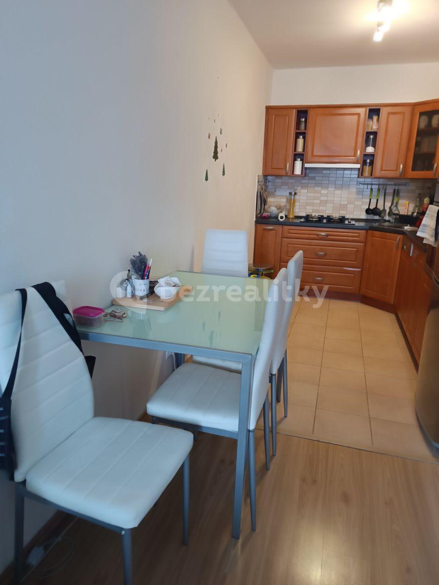 2 bedroom with open-plan kitchen flat to rent, 67 m², Rezlerova, Prague, Prague