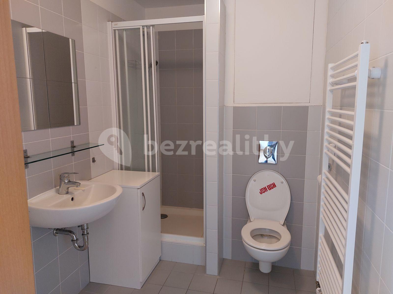 Studio flat to rent, 33 m², U Leskavy, Brno, Jihomoravský Region