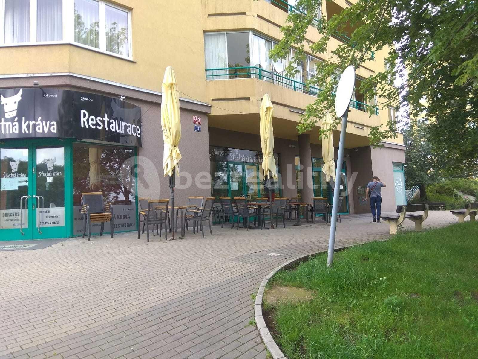 1 bedroom flat to rent, 54 m², Prague, Prague