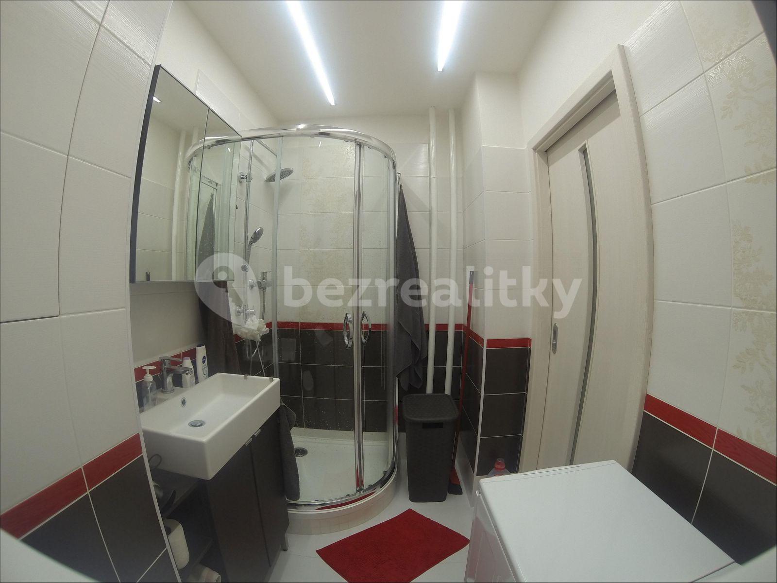 2 bedroom flat to rent, 45 m², Oblouková, Prague, Prague