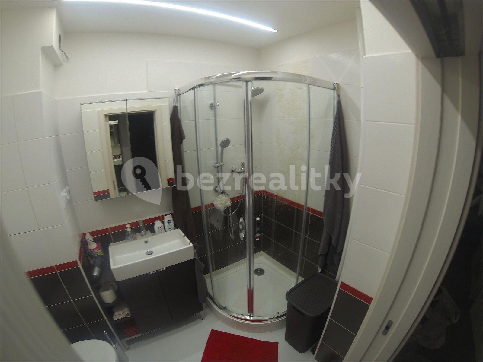 2 bedroom flat to rent, 45 m², Oblouková, Prague, Prague