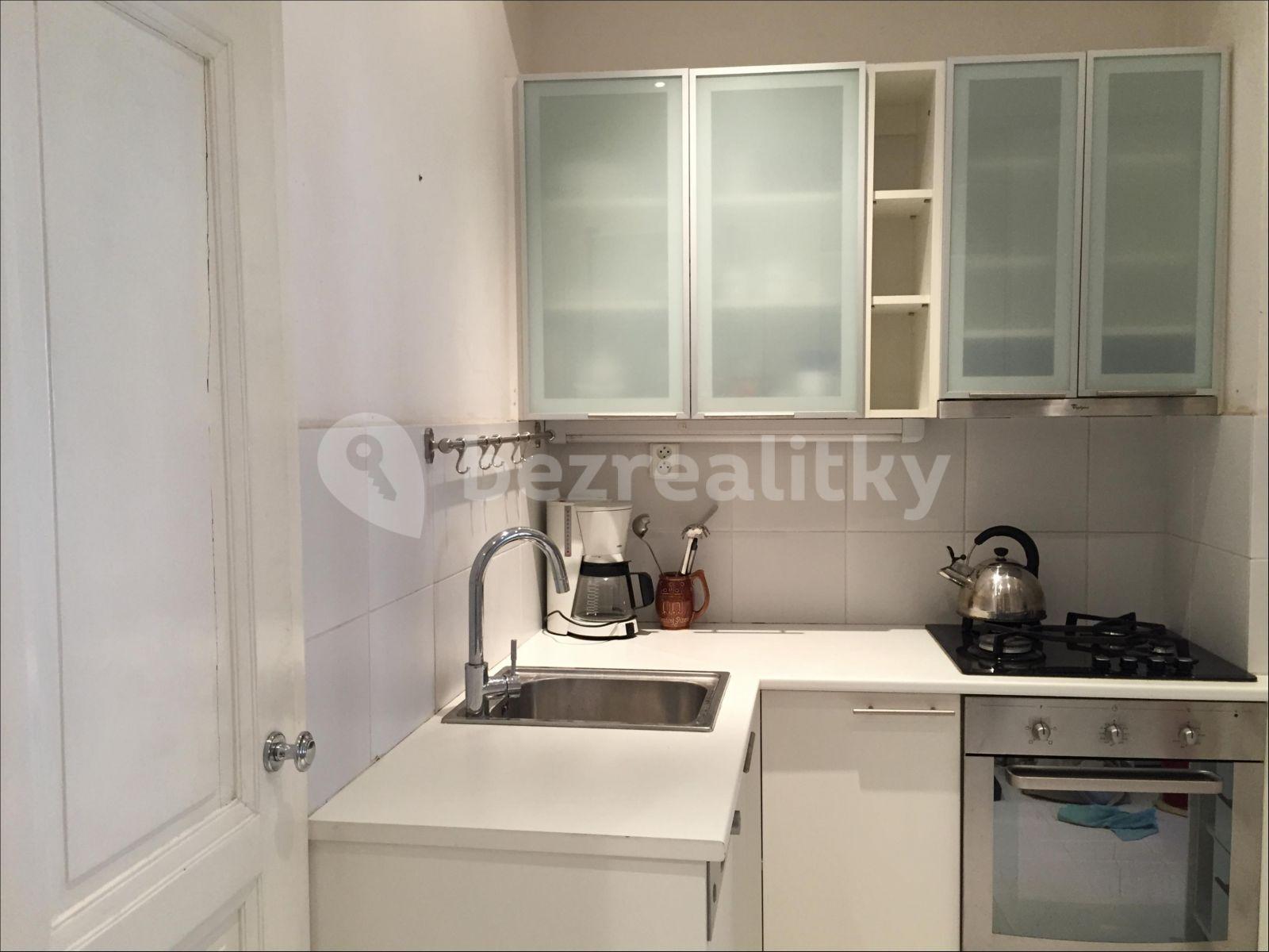 1 bedroom with open-plan kitchen flat to rent, 61 m², Slovinská, Prague, Prague