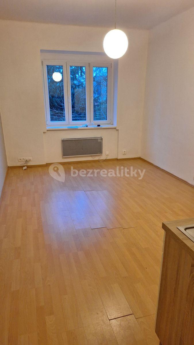 1 bedroom with open-plan kitchen flat to rent, 42 m², Hanusova, Prague, Prague