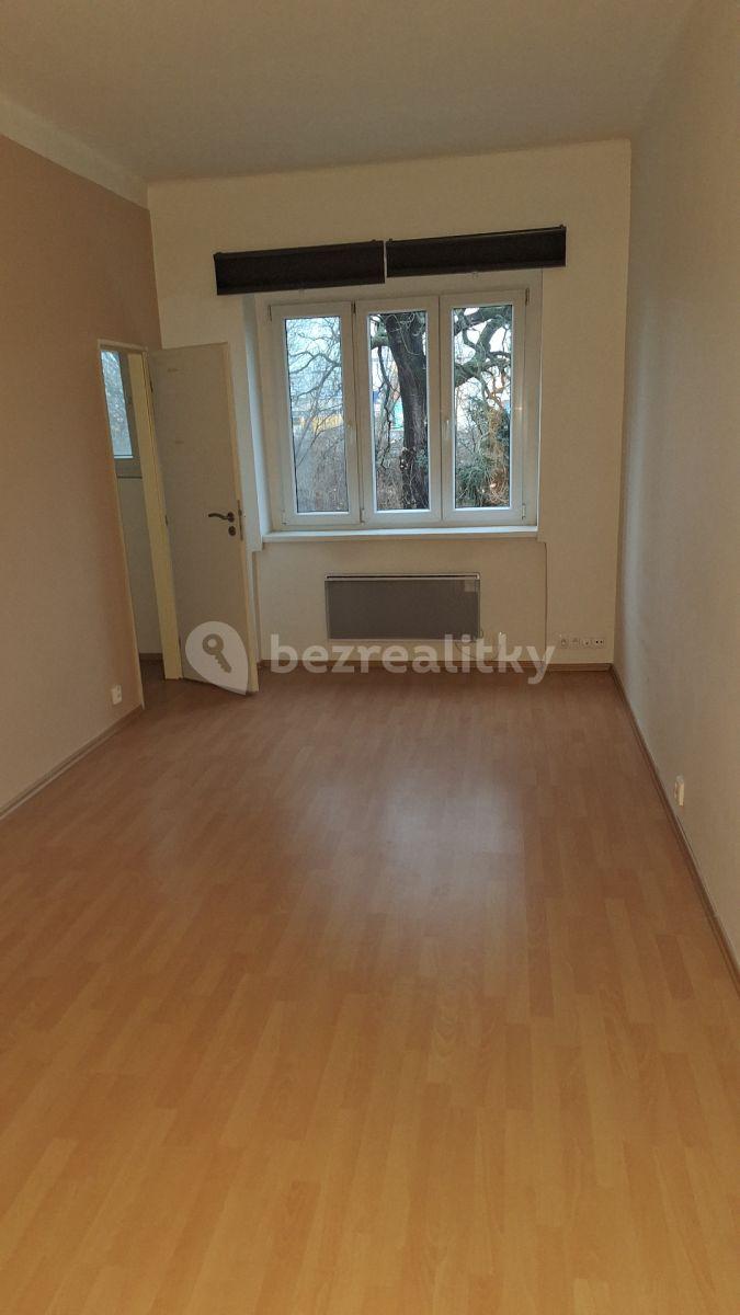 1 bedroom with open-plan kitchen flat to rent, 42 m², Hanusova, Prague, Prague