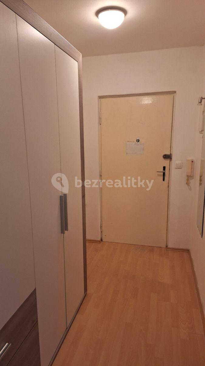 1 bedroom with open-plan kitchen flat to rent, 42 m², Hanusova, Prague, Prague