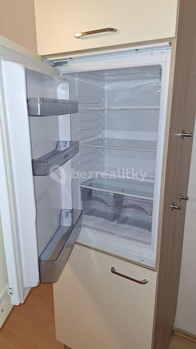 1 bedroom with open-plan kitchen flat to rent, 42 m², Hanusova, Prague, Prague