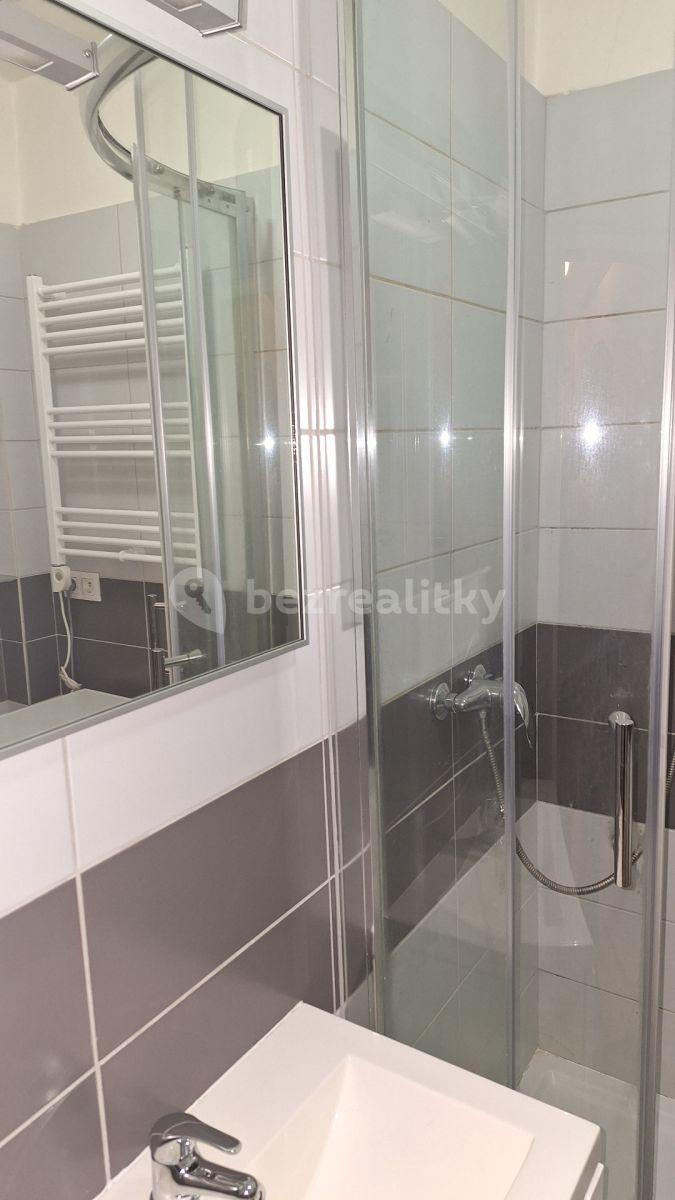 1 bedroom with open-plan kitchen flat to rent, 42 m², Hanusova, Prague, Prague