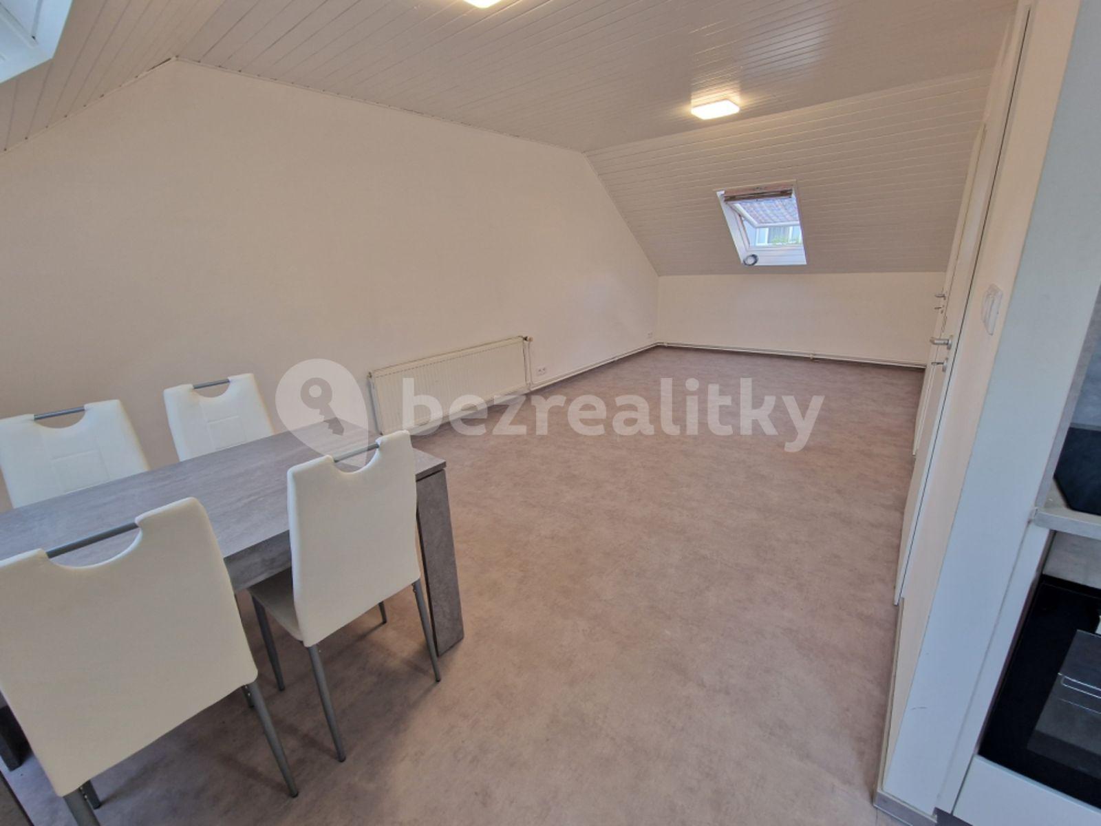 1 bedroom with open-plan kitchen flat to rent, 48 m², Nad Šestikopy, Prague, Prague