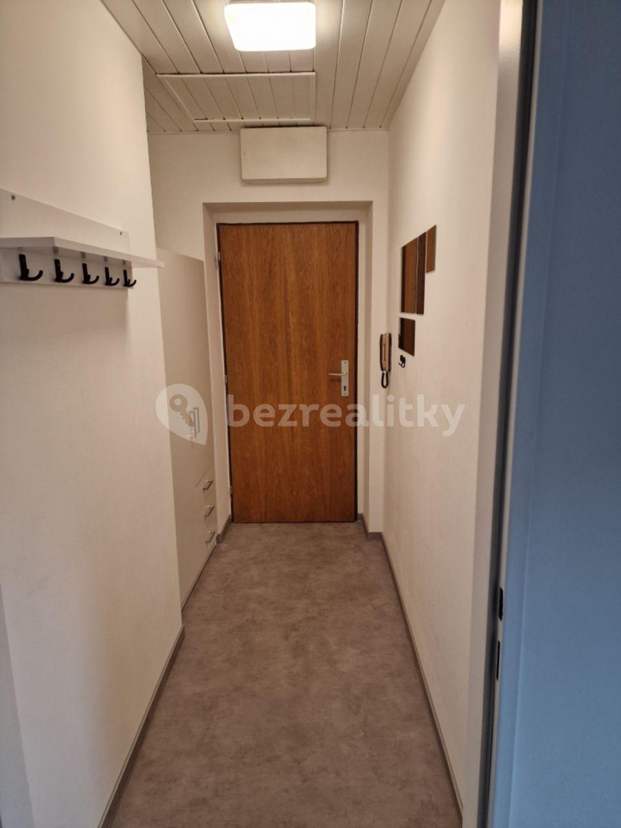 1 bedroom with open-plan kitchen flat to rent, 48 m², Nad Šestikopy, Prague, Prague