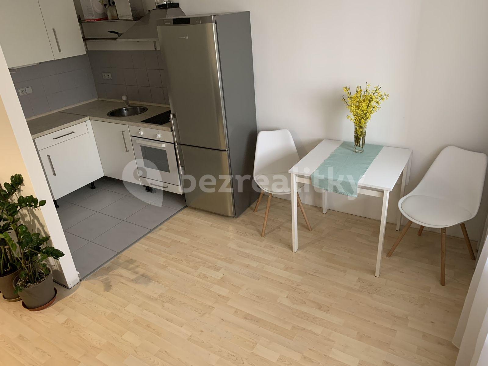 Studio flat to rent, 40 m², U Leskavy, Brno, Jihomoravský Region