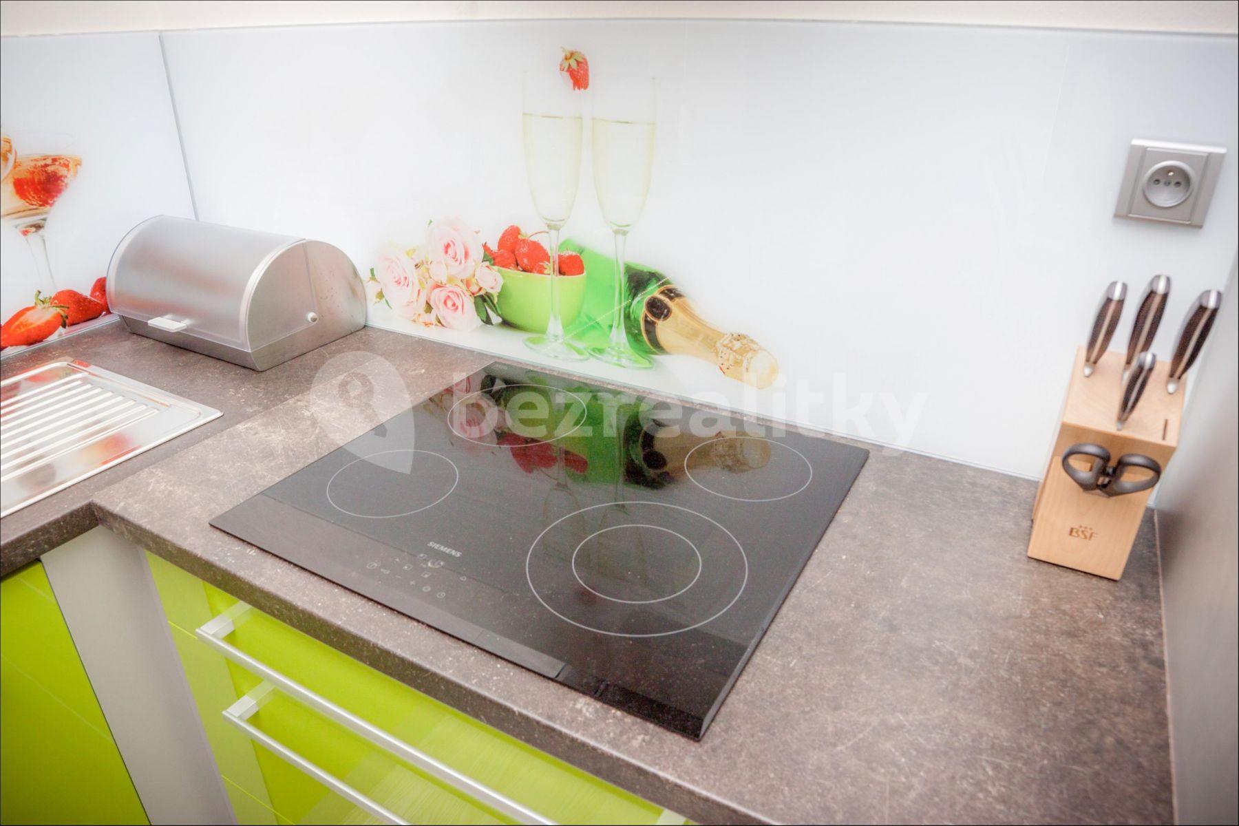 1 bedroom with open-plan kitchen flat to rent, 68 m², Freiwaldova, Prague, Prague