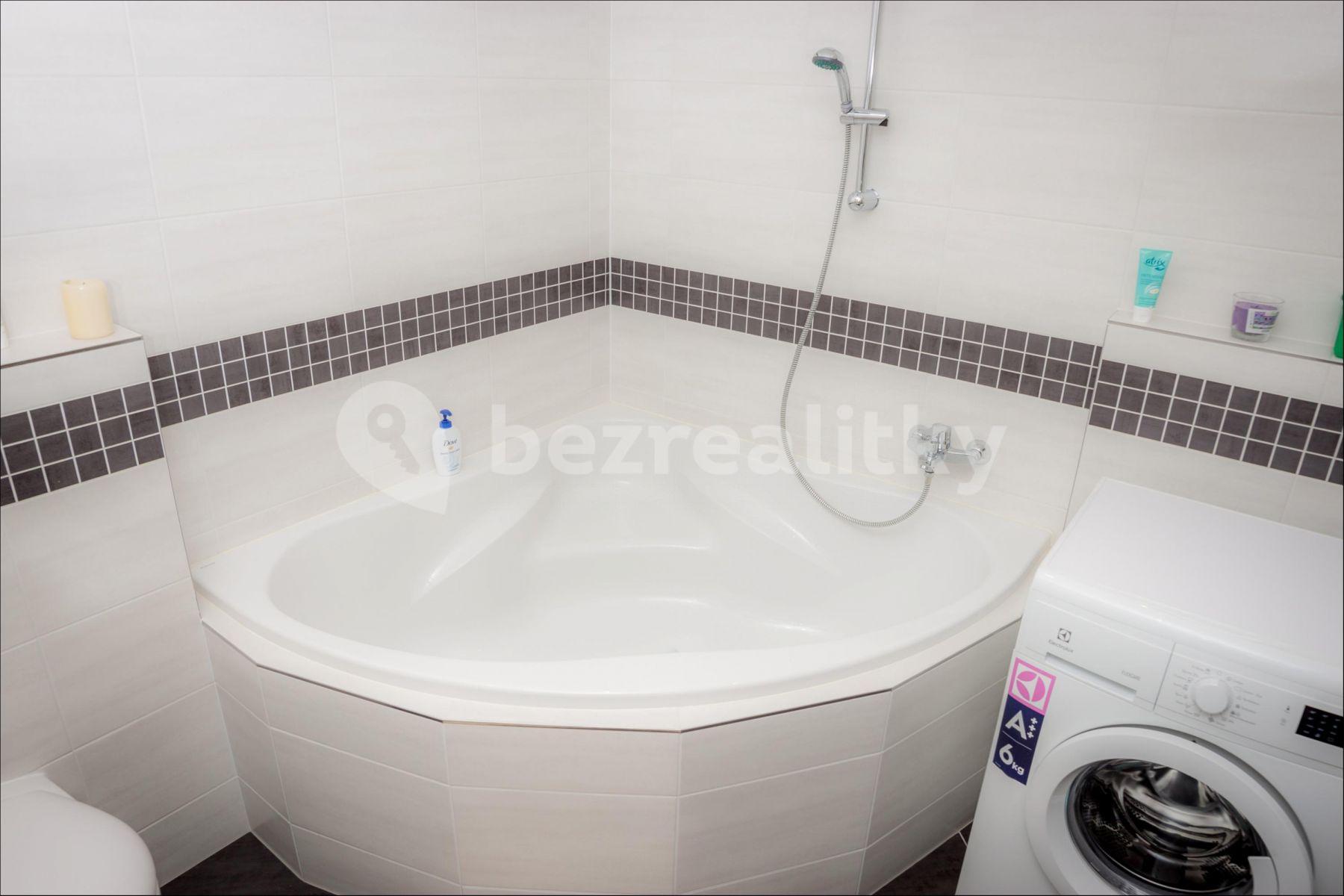 1 bedroom with open-plan kitchen flat to rent, 68 m², Freiwaldova, Prague, Prague