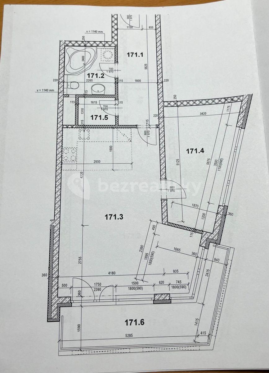 1 bedroom with open-plan kitchen flat to rent, 68 m², Freiwaldova, Prague, Prague