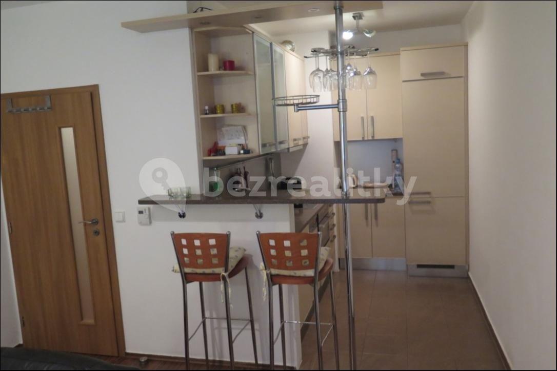 1 bedroom with open-plan kitchen flat to rent, 90 m², Jeseniova, Prague, Prague