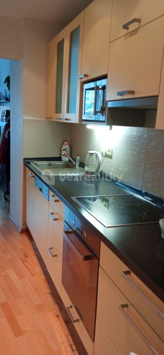 1 bedroom with open-plan kitchen flat to rent, 47 m², Kounická, Prague, Prague