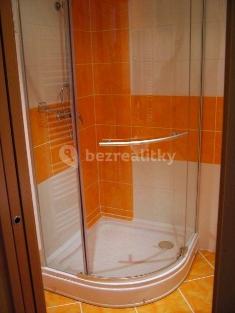 1 bedroom with open-plan kitchen flat to rent, 47 m², Kounická, Prague, Prague