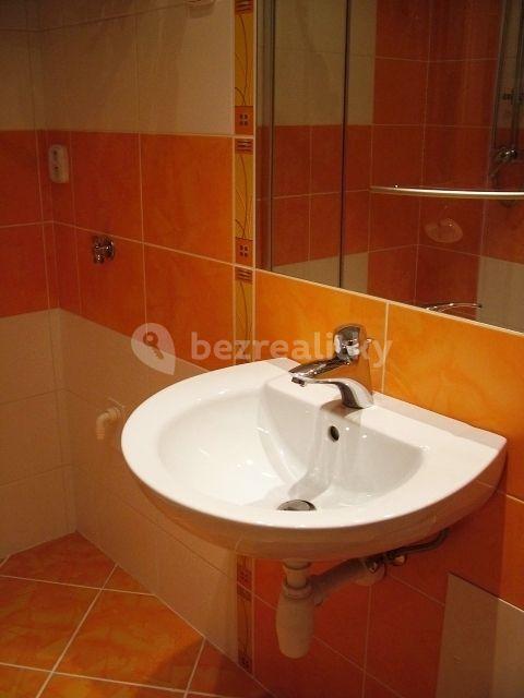 1 bedroom with open-plan kitchen flat to rent, 47 m², Kounická, Prague, Prague