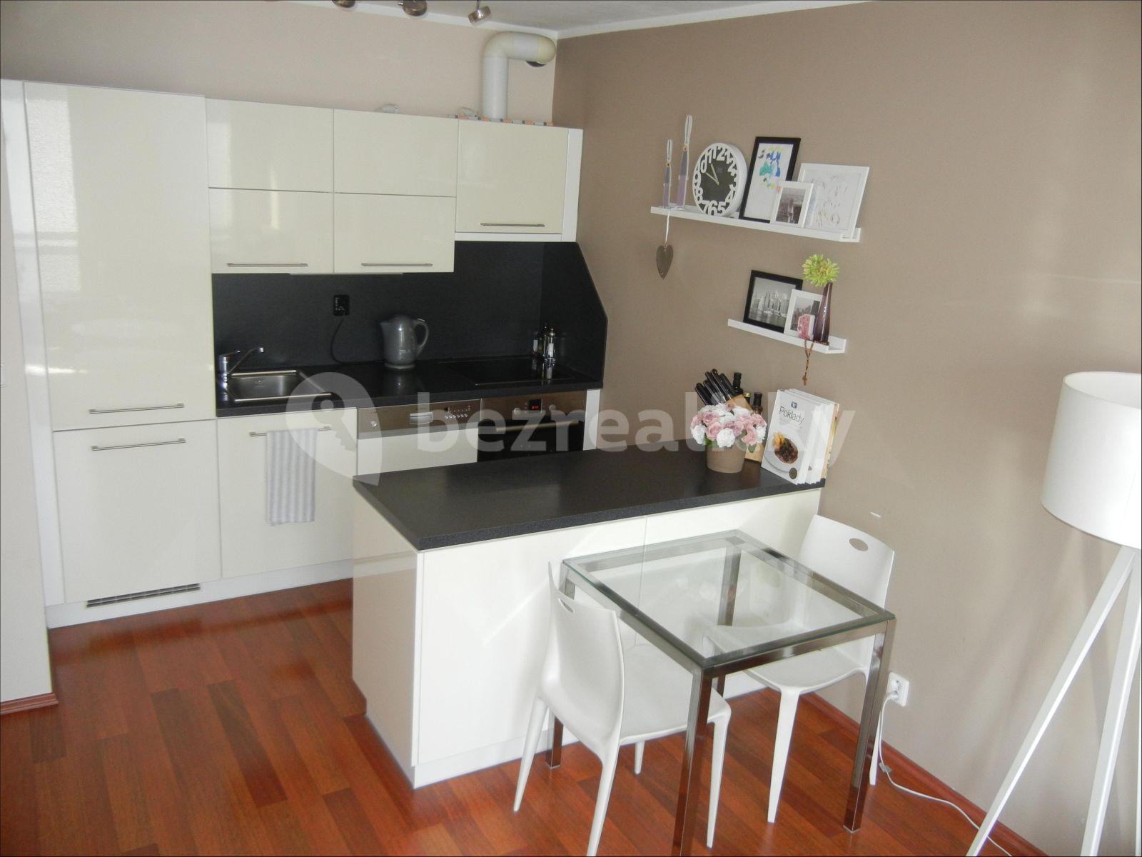 1 bedroom with open-plan kitchen flat to rent, 57 m², Raichlova, Prague, Prague