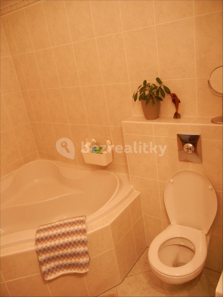 1 bedroom with open-plan kitchen flat to rent, 57 m², Raichlova, Prague, Prague