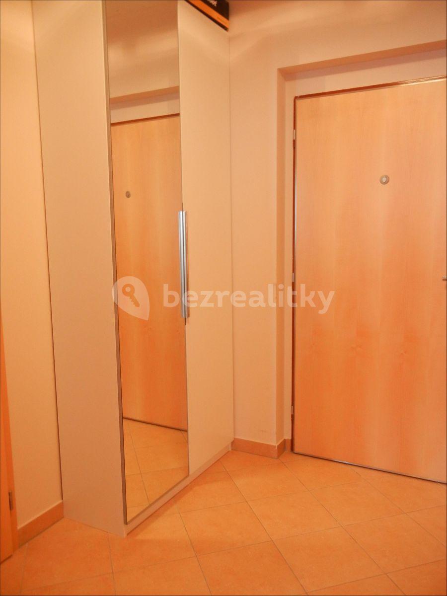 1 bedroom with open-plan kitchen flat to rent, 57 m², Raichlova, Prague, Prague