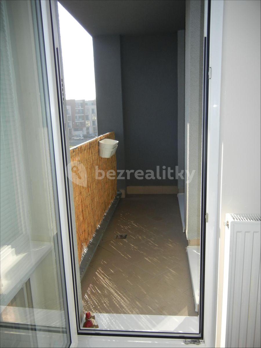 1 bedroom with open-plan kitchen flat to rent, 57 m², Raichlova, Prague, Prague