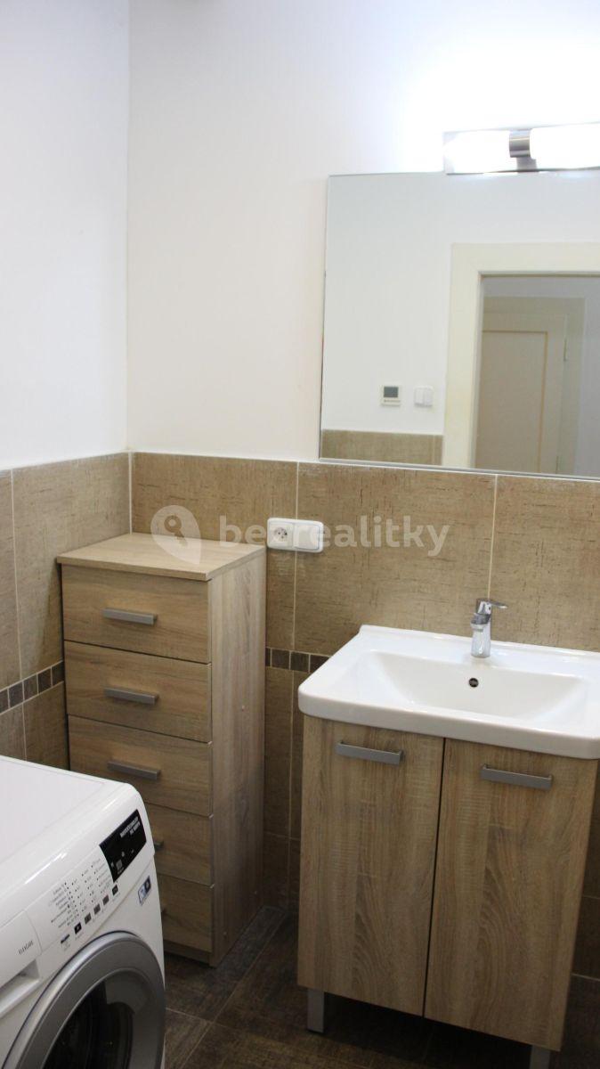 1 bedroom with open-plan kitchen flat to rent, 55 m², Národní obrany, Prague, Prague