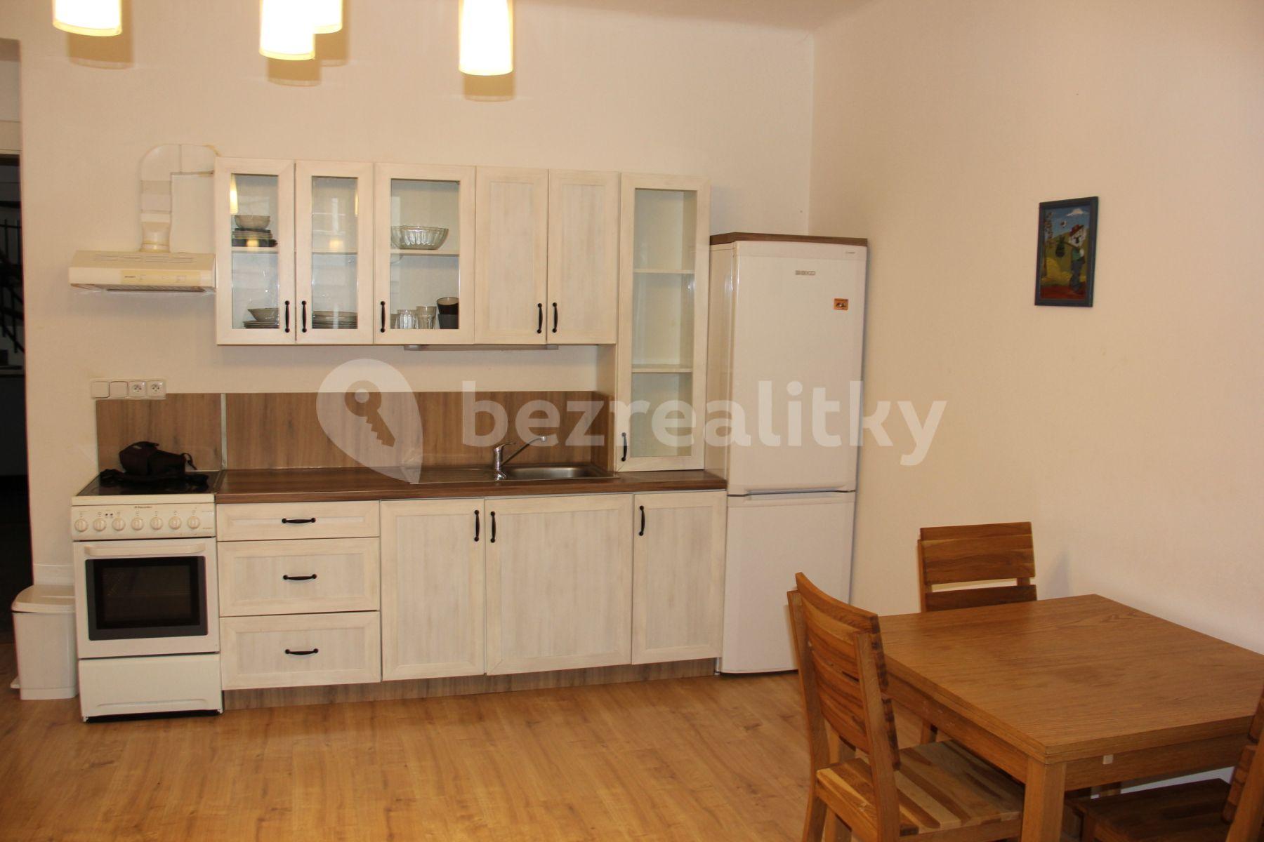 1 bedroom with open-plan kitchen flat to rent, 55 m², Národní obrany, Prague, Prague