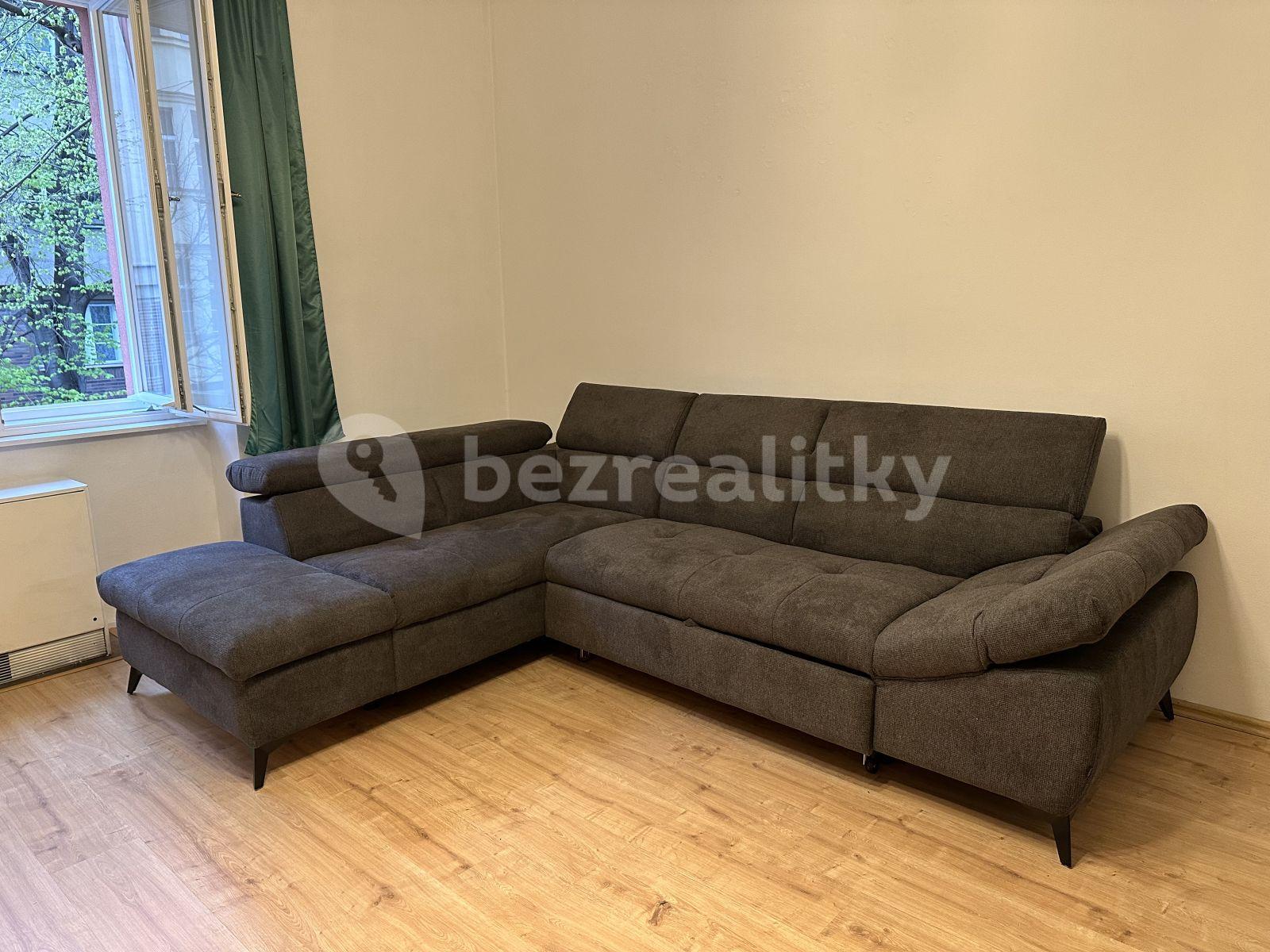 1 bedroom with open-plan kitchen flat to rent, 55 m², Národní obrany, Prague, Prague