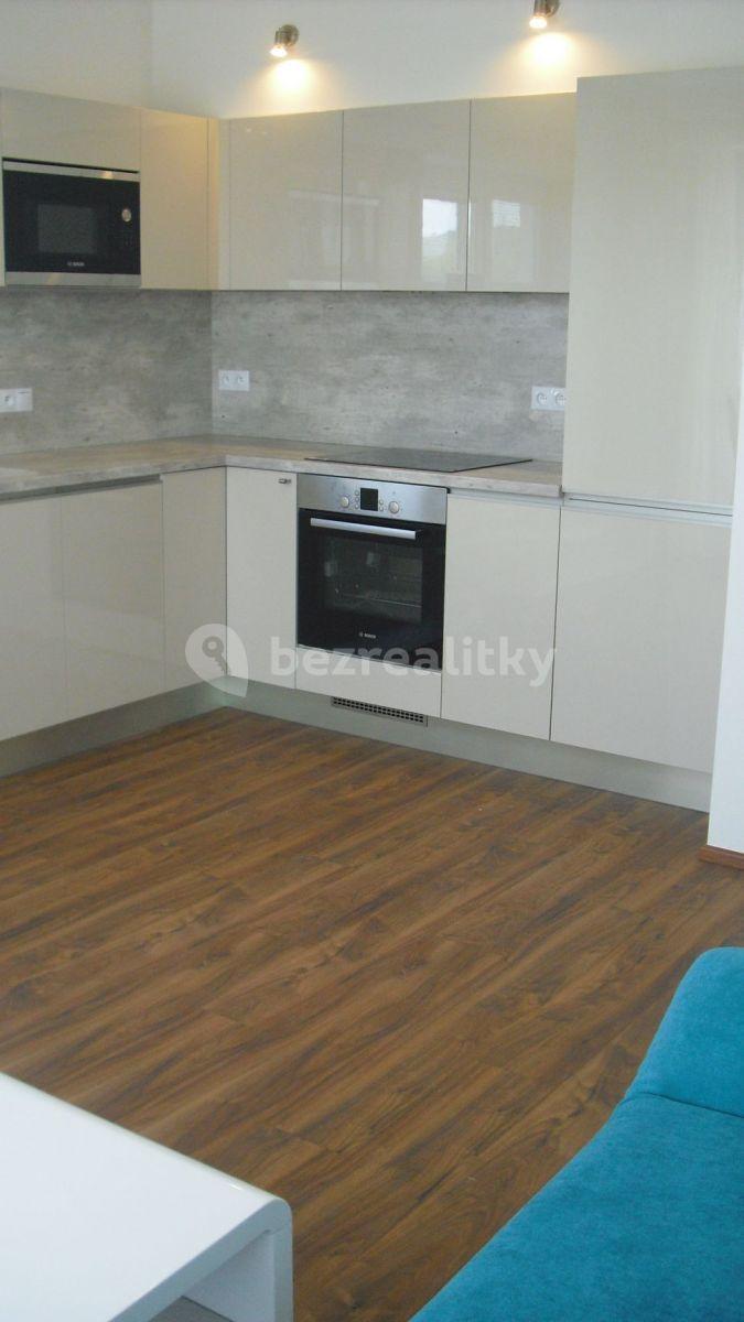 1 bedroom with open-plan kitchen flat to rent, 44 m², Hvozdecká, Brno, Jihomoravský Region