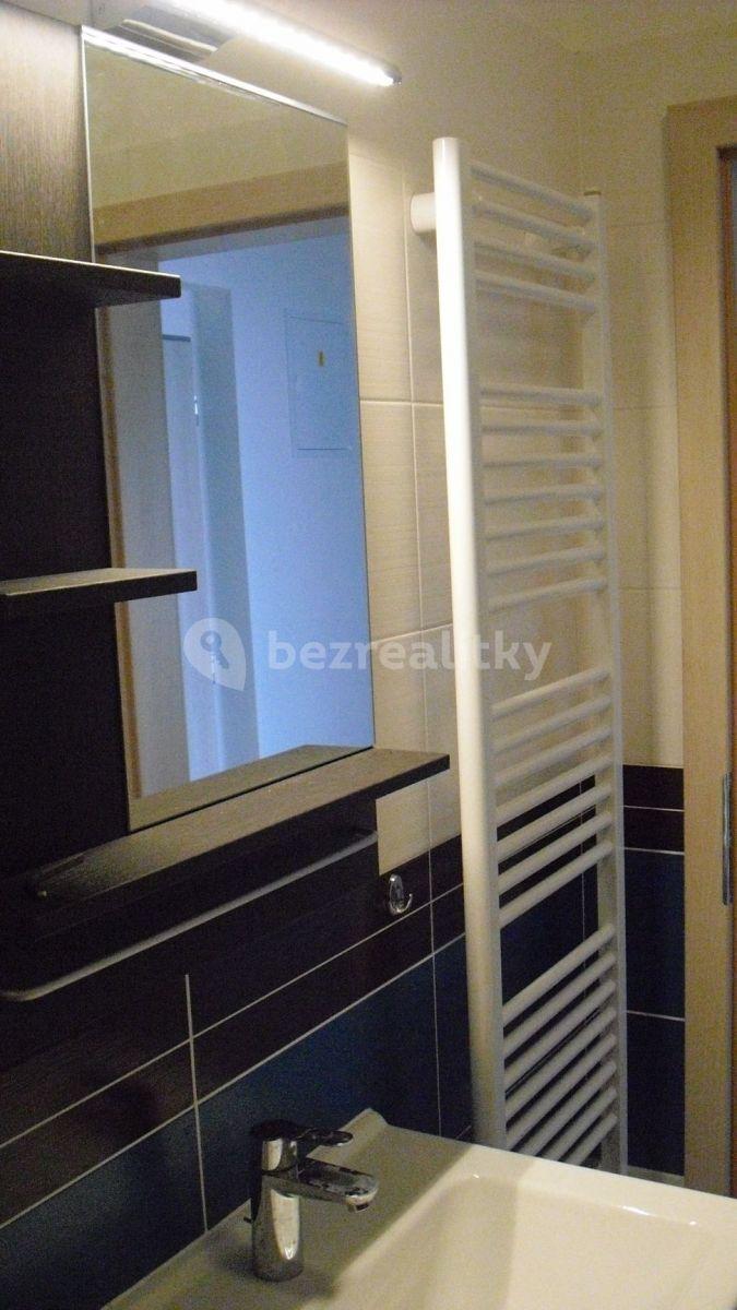 1 bedroom with open-plan kitchen flat to rent, 44 m², Hvozdecká, Brno, Jihomoravský Region